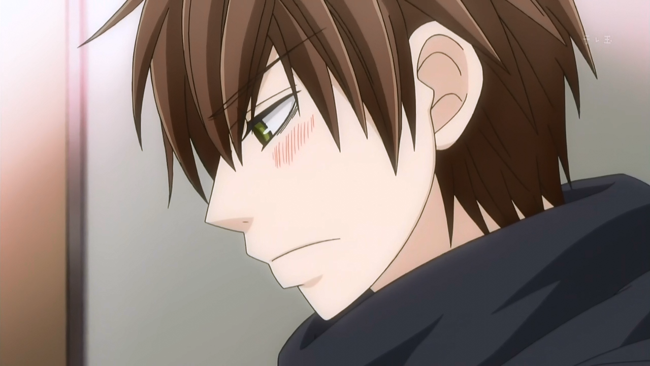 Sekaiichi Hatsukoi 2 (Aino Fansub)